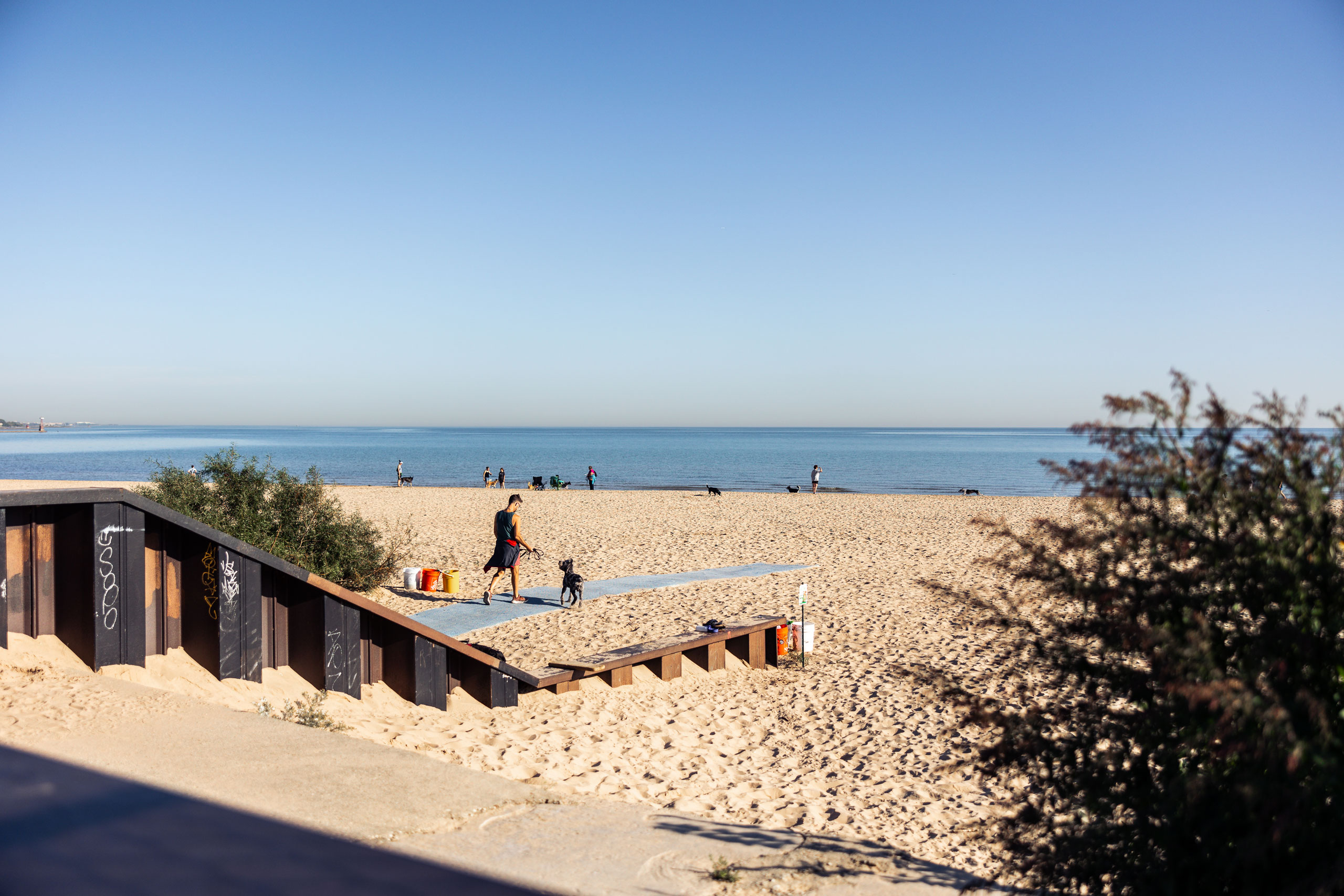 Montrose Dog Beach chicago